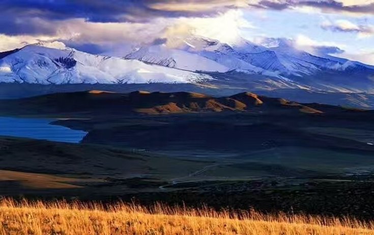 Picture
